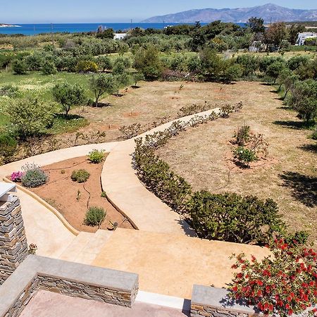 Villa Filizi - Filizi Naoussa Paros سانتا ماريا المظهر الخارجي الصورة